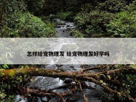 怎样给宠物理发 给宠物理发好学吗