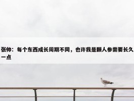 张帅：每个东西成长周期不同，也许我是颗人参需要长久一点