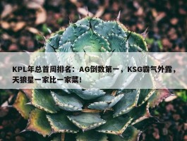 KPL年总首周排名：AG倒数第一，KSG霸气外露，天狼星一家比一家菜！