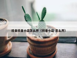 抖音抖音小店怎么开（抖音小店 怎么开）