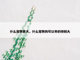 什么宠物更大，什么宠物狗可以养的特别大