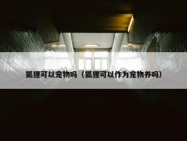 狐狸可以宠物吗（狐狸可以作为宠物养吗）