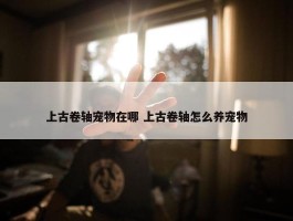 上古卷轴宠物在哪 上古卷轴怎么养宠物