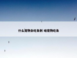 什么宠物会吃鱼刺 啥宠物吃鱼