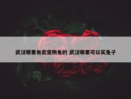 武汉哪里有卖宠物兔的 武汉哪里可以买兔子