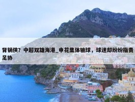 背锅侠？中超双雄海港_申花集体输球，球迷却纷纷指责足协