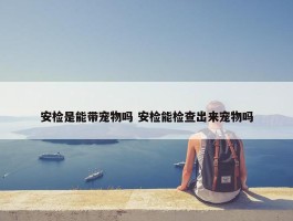 安检是能带宠物吗 安检能检查出来宠物吗