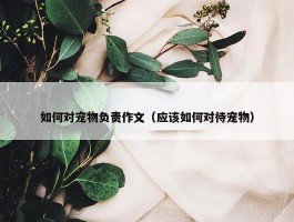 如何对宠物负责作文（应该如何对待宠物）