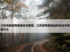 江苏周围宠物看病咨询哪里，江苏宠物救助站的电话号码是什么