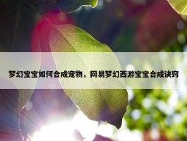 梦幻宝宝如何合成宠物，网易梦幻西游宝宝合成诀窍