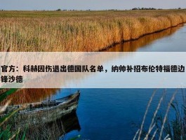 官方：科赫因伤退出德国队名单，纳帅补招布伦特福德边锋沙德