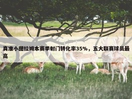 真准小图拉姆本赛季射门转化率35%，五大联赛球员最高