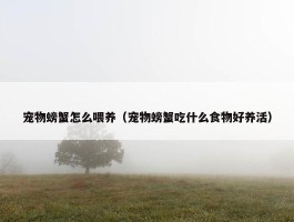 宠物螃蟹怎么喂养（宠物螃蟹吃什么食物好养活）