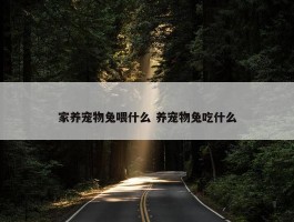 家养宠物兔喂什么 养宠物兔吃什么