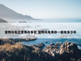 宠物乌龟正常寿命多长 宠物乌龟寿命一般有多少年