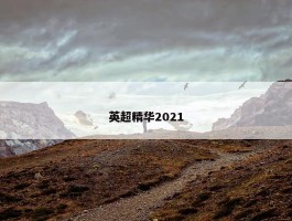 英超精华2021