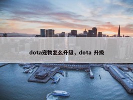 dota宠物怎么升级，dota 升级