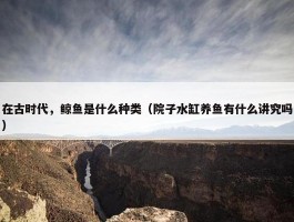 在古时代，鲸鱼是什么种类（院子水缸养鱼有什么讲究吗）