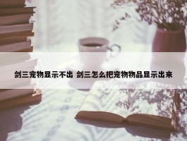 剑三宠物显示不出 剑三怎么把宠物物品显示出来