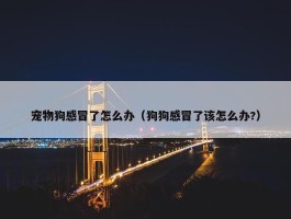 宠物狗感冒了怎么办（狗狗感冒了该怎么办?）