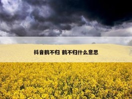 抖音鹤不归 鹤不归什么意思