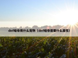 dnf暗帝用什么宠物（dnf暗帝需要什么属性）