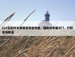 S37匹配时长暴露各职业热度，辅助并非最冷门，打野逐渐降温