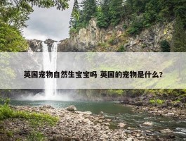 英国宠物自然生宝宝吗 英国的宠物是什么?