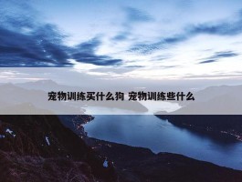 宠物训练买什么狗 宠物训练些什么