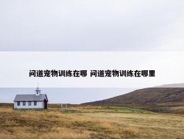 问道宠物训练在哪 问道宠物训练在哪里