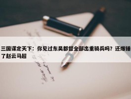 三国谋定天下：你见过东吴都督全部出重骑兵吗？还爆锤了赵云马超