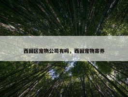 西固区宠物公司有吗，西固宠物寄养