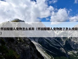 怀旧服猎人宠物怎么丢弃（怀旧服猎人宠物跑了怎么找回）