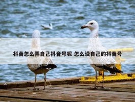 抖音怎么弄自己抖音号呢 怎么设自己的抖音号