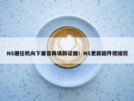 NS继任机向下兼容再填新证据！NS更新固件现端倪