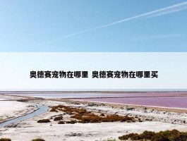 奥德赛宠物在哪里 奥德赛宠物在哪里买