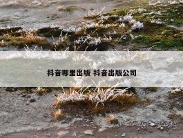 抖音哪里出版 抖音出版公司