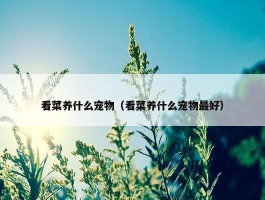 看菜养什么宠物（看菜养什么宠物最好）