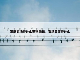 家庭农场养什么宠物赚钱，农场里面养什么