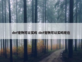 dnf宠物可以买吗 dnf宠物可以买吗现在