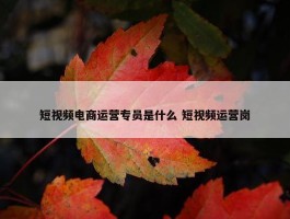 短视频电商运营专员是什么 短视频运营岗