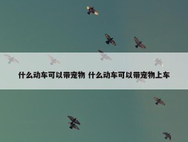 什么动车可以带宠物 什么动车可以带宠物上车