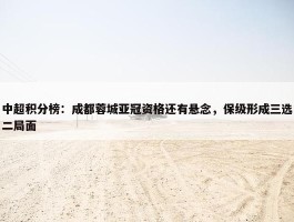 中超积分榜：成都蓉城亚冠资格还有悬念，保级形成三选二局面