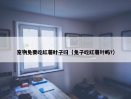 宠物兔要吃红薯叶子吗（兔子吃红薯叶吗?）