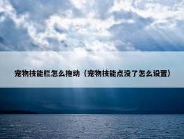 宠物技能栏怎么拖动（宠物技能点没了怎么设置）