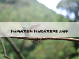 抖音有英文版吗 抖音的英文版叫什么名字