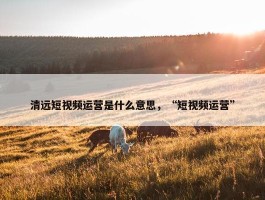 清远短视频运营是什么意思，“短视频运营”