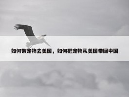 如何带宠物去美国，如何把宠物从美国带回中国