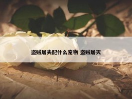 盗贼屠夫配什么宠物 盗贼屠灭