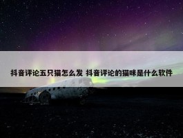 抖音评论五只猫怎么发 抖音评论的猫咪是什么软件